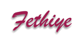 Fethiye-Logo